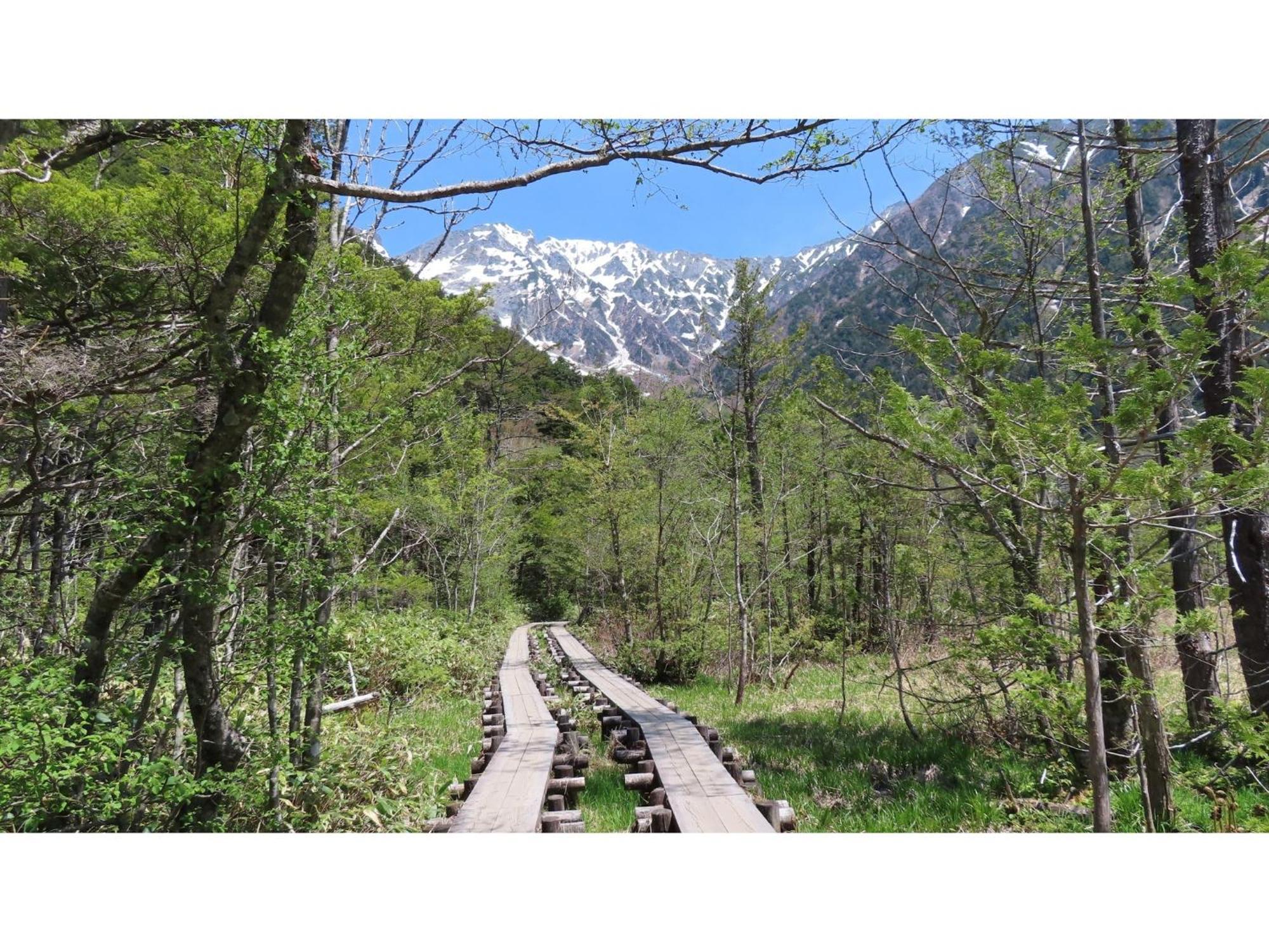 מטסומוטו Nakanoyu Onsen Ryokan - Vacation Stay 06697V מראה חיצוני תמונה