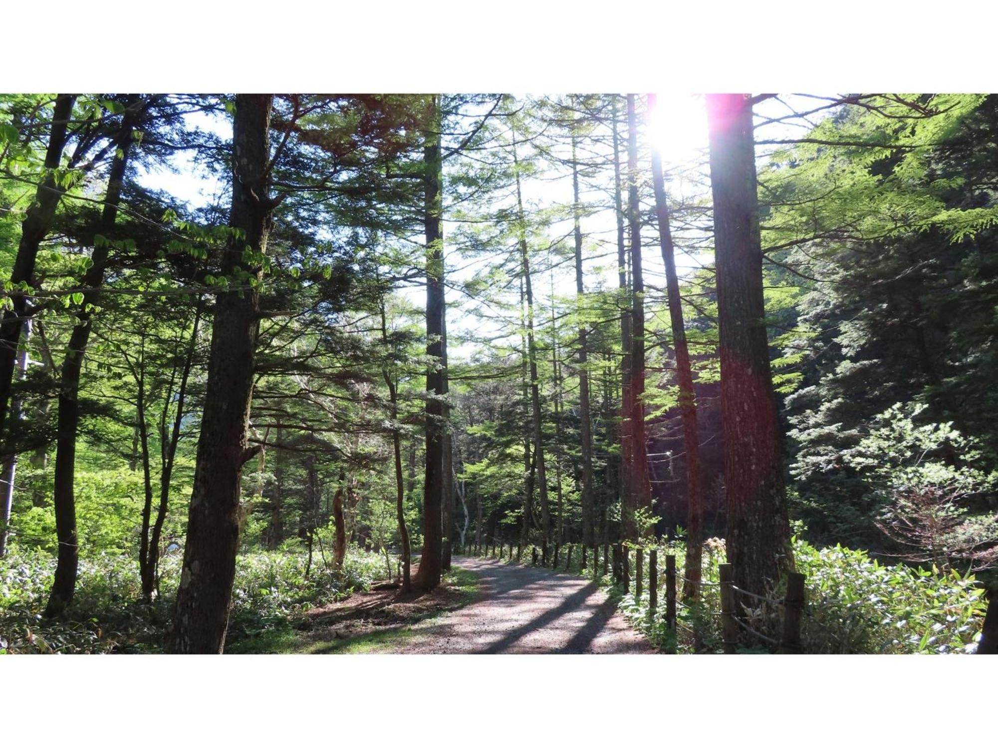 מטסומוטו Nakanoyu Onsen Ryokan - Vacation Stay 06697V מראה חיצוני תמונה